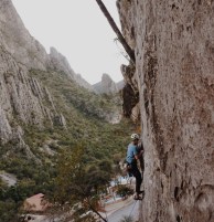 Guest Writer: Noel Nelson