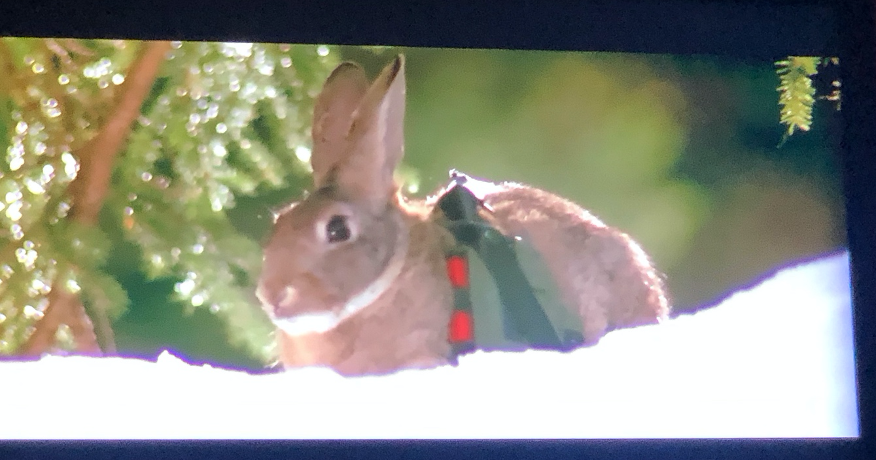 A flat screen television

Description automatically generated